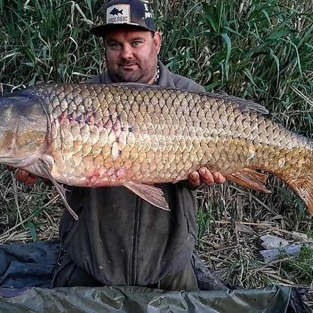 R U Ready Fishing, River Ebro Mequinenza Zewnętrze zdjęcie