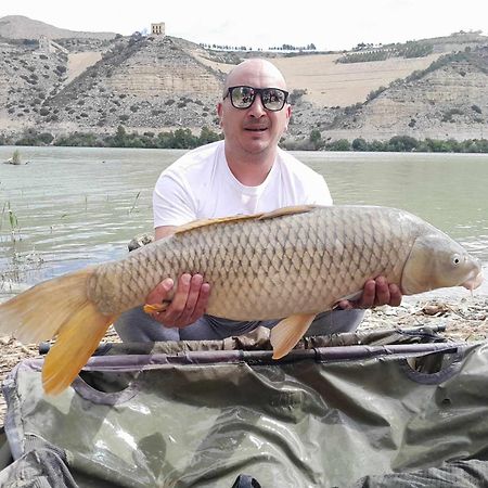 R U Ready Fishing, River Ebro Mequinenza Zewnętrze zdjęcie