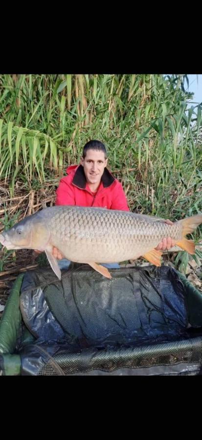 R U Ready Fishing, River Ebro Mequinenza Zewnętrze zdjęcie