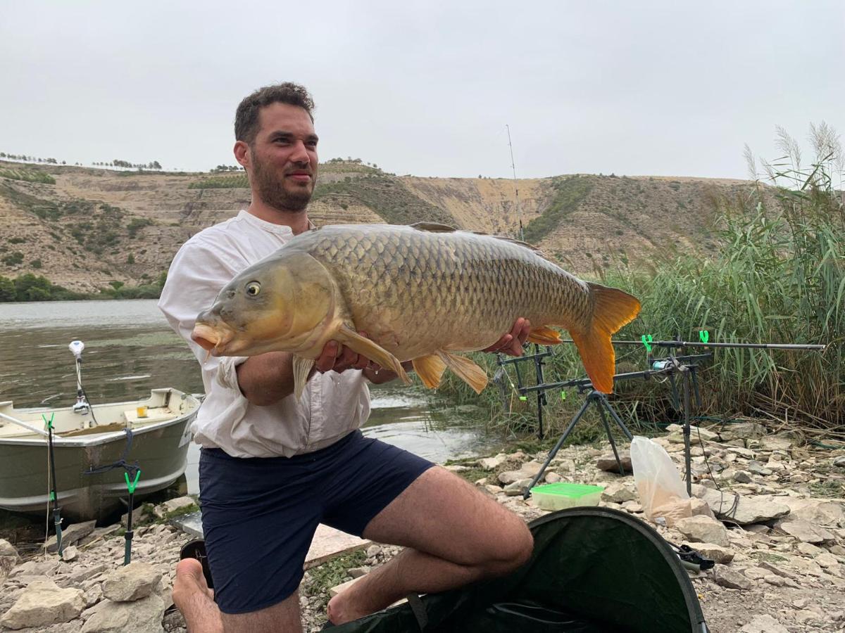 R U Ready Fishing, River Ebro Mequinenza Zewnętrze zdjęcie