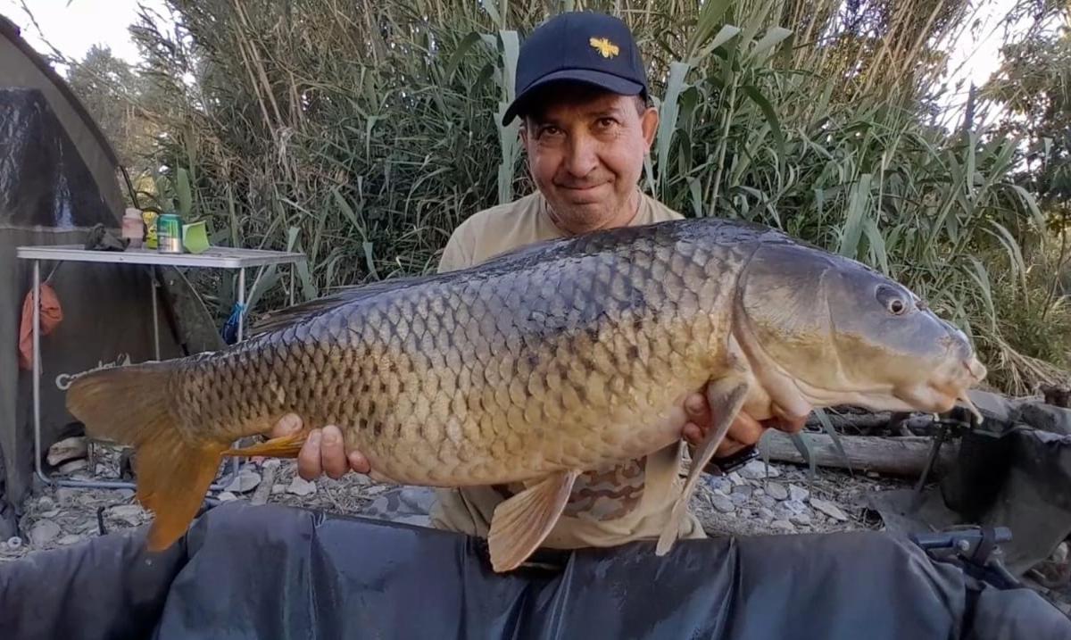 R U Ready Fishing, River Ebro Mequinenza Zewnętrze zdjęcie