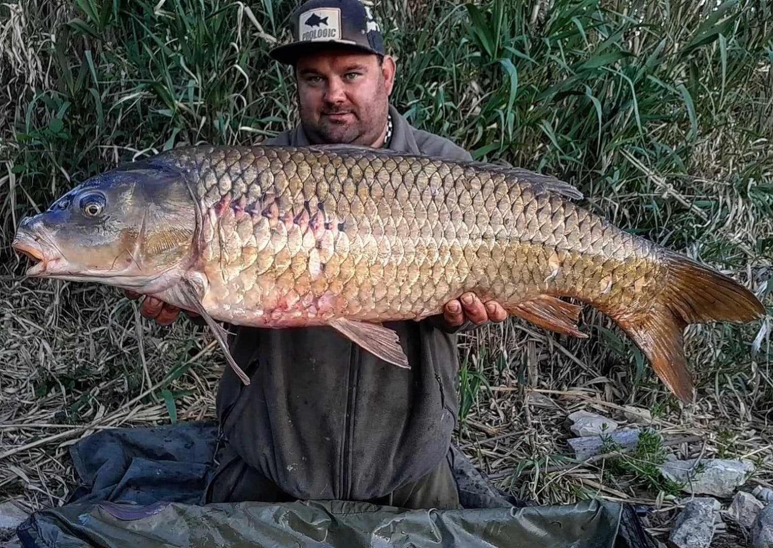 R U Ready Fishing, River Ebro Mequinenza Zewnętrze zdjęcie